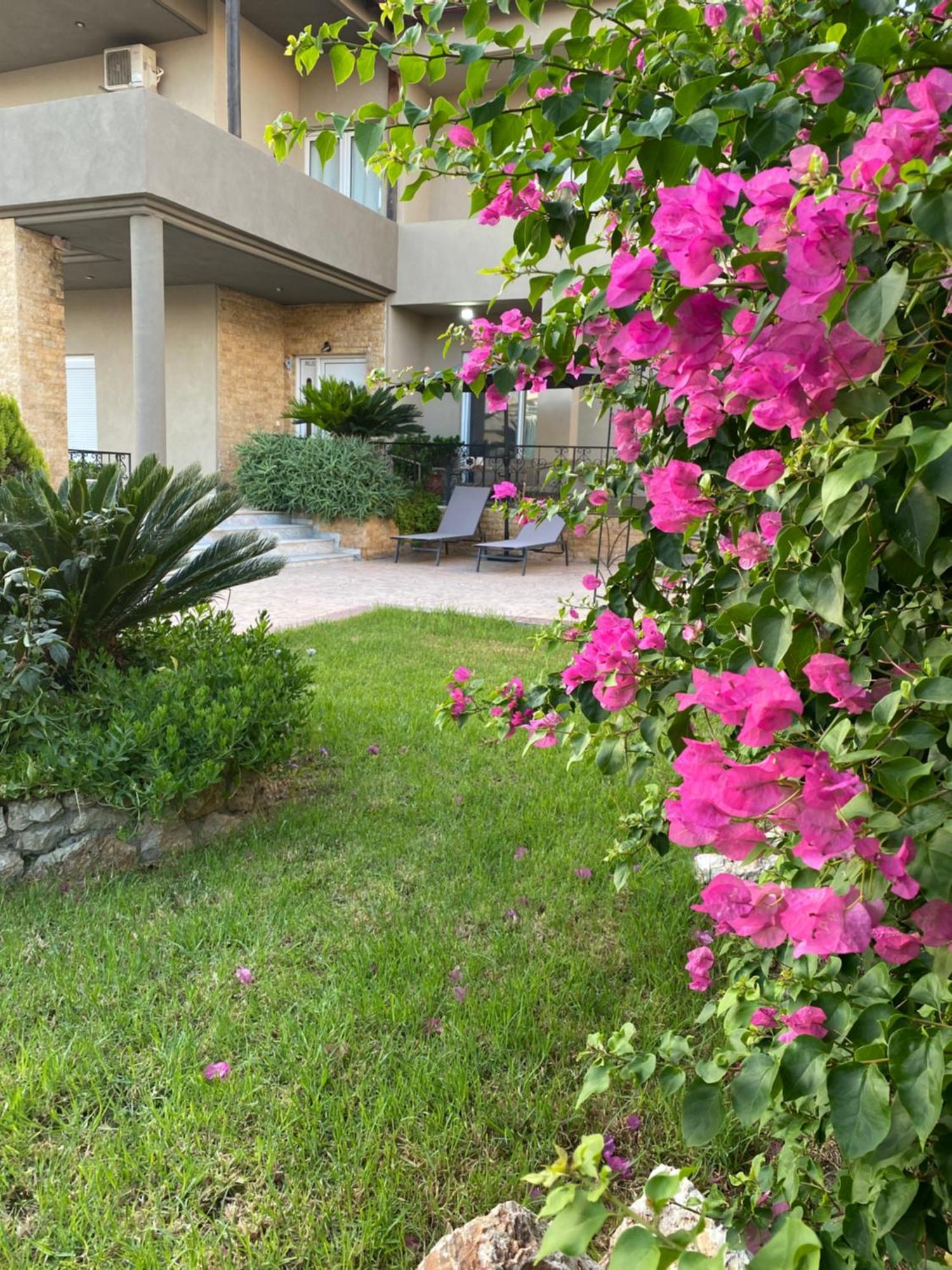 فيلا Eva'S Garden House إياليسوس المظهر الخارجي الصورة